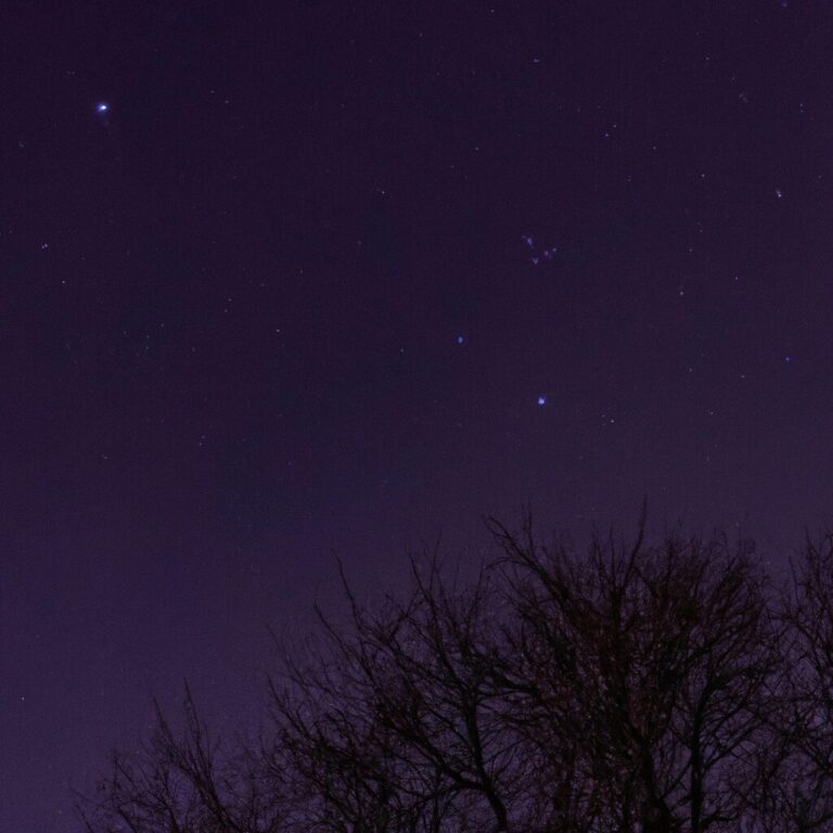 Observer Orion en hiver : une expérience céleste incontournable